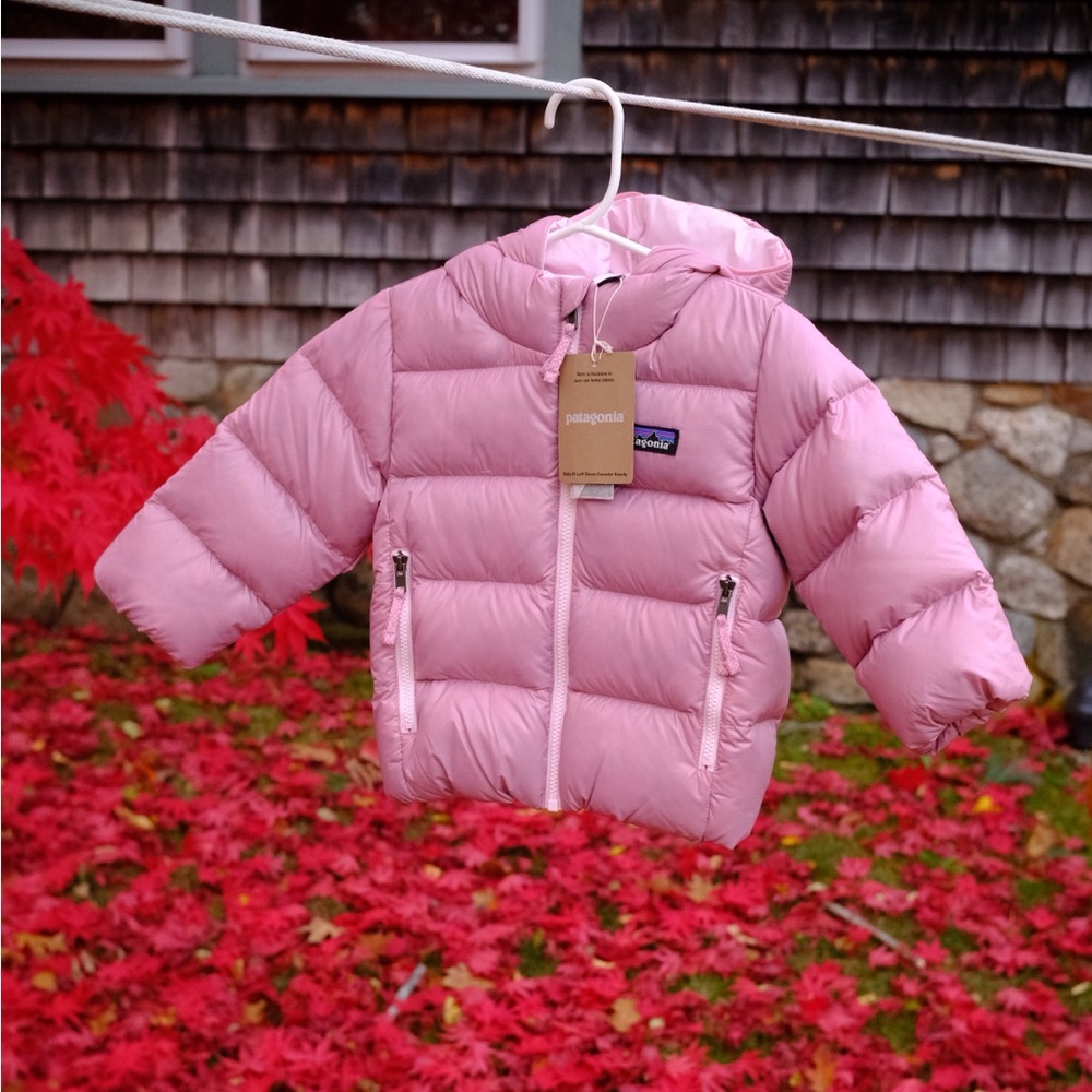 Patagonia BABY HI-LOFT DOWN SWEATER HOODY COAT - Picture 3 of 6